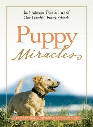 Cover of the book Puppy Miracles by Anglea Garbes