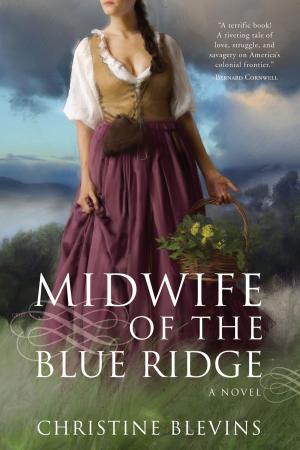 Cover of the book Midwife of the Blue Ridge by Harlan Coben