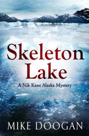 Cover of the book Skeleton Lake by John Hooper