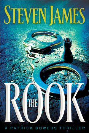 Cover of the book The Rook (The Bowers Files Book #2) by Sarah Loudin Thomas
