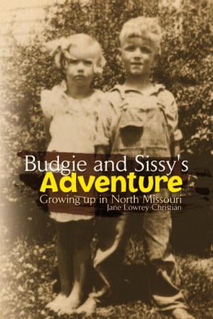 bigCover of the book Budgie and Sissy's Adventure by 