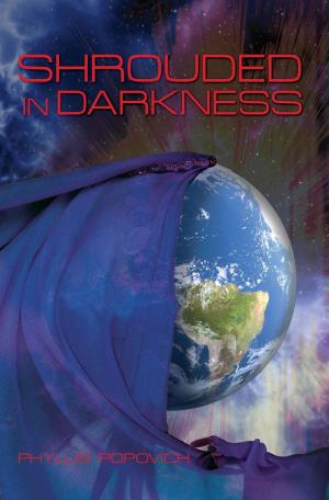 Cover of the book Shrouded in Darkness by Kim Lemke