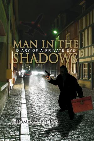 Book cover of Man in the Shadows