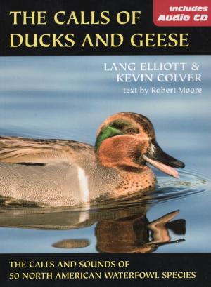 Cover of the book The Calls of Ducks & Geese by Steven Boga