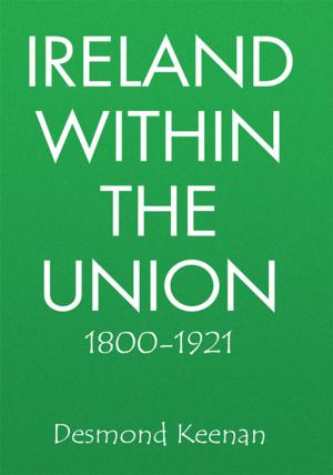 Book cover of Ireland Within the Union 1800-1921