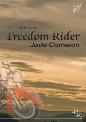Cover of the book Freedom Rider by Agwu Christopher Agwu