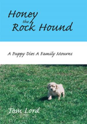 Cover of the book Honey the Rock Hound by Precia Davidson