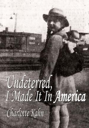 Cover of the book Undeterred, I Made It in America by S.D. Verlindau
