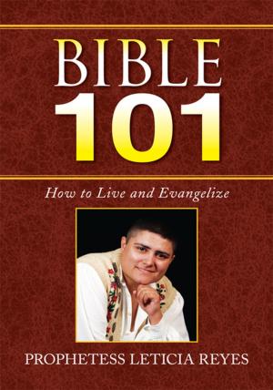 Cover of the book Bible 101 by Fred Glueckstein