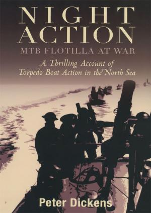 Cover of the book Night Action by Stephen Wynn