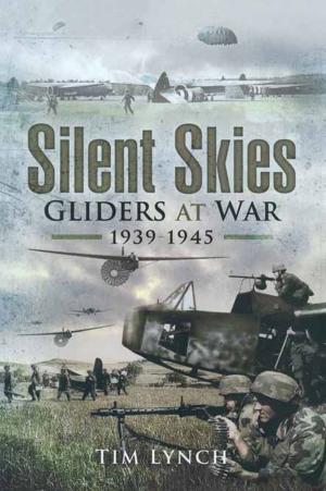 Book cover of Silent Skies