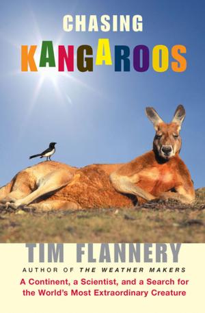 Cover of the book Chasing Kangaroos by Madeleine Blais