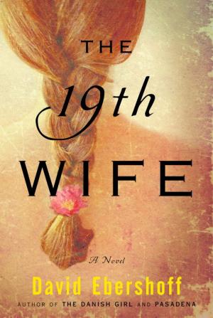 Cover of the book The 19th Wife by Lynn Flewelling