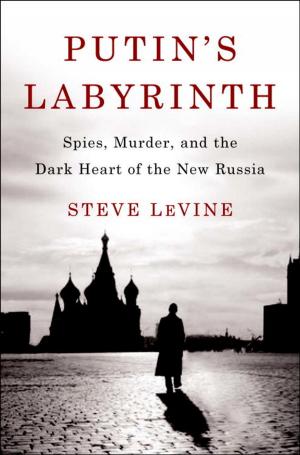 Cover of the book Putin's Labyrinth by John Updike