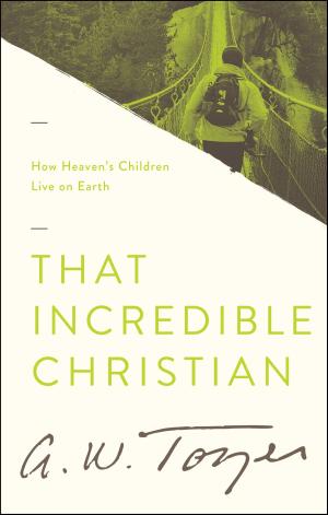 Book cover of That Incredible Christian