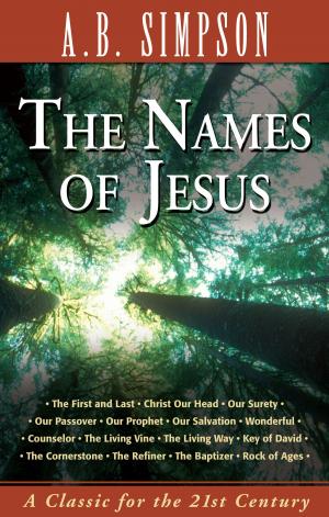 Book cover of The Names of Jesus