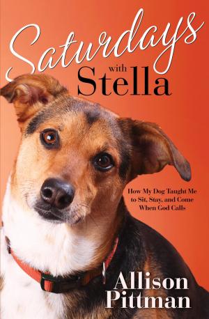 bigCover of the book Saturdays with Stella by 