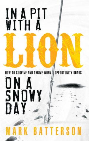 bigCover of the book In a Pit with a Lion on a Snowy Day by 
