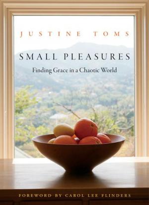 Cover of the book Small Pleasures: Finding Grace in a Chaotic World by Krys Godly, Joss Godly
