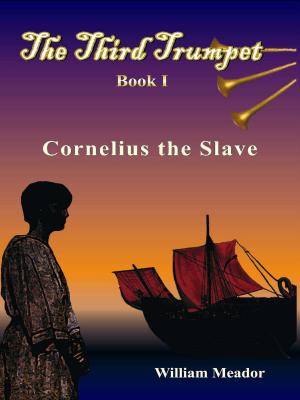 Cover of The Third Trumpet Book 1