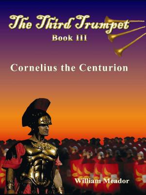 Cover of The Third Trumpet Book 3
