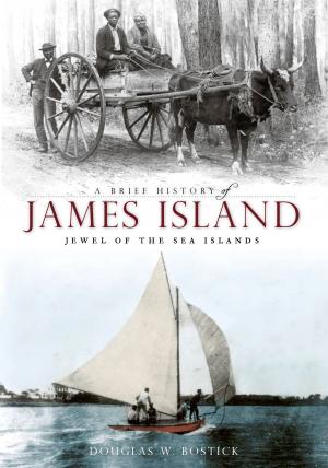 Cover of the book A Brief History of James Island: Jewel of the Sea Islands by Lewis Halprin, Alan Kattelle