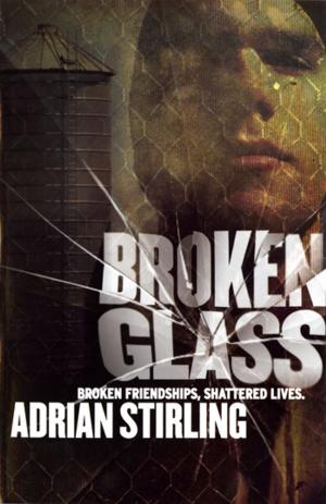 Cover of the book Broken Glass by Steven Lang