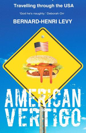 Cover of the book American Vertigo by Stephen Bayley