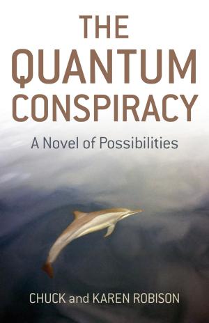 Cover of the book The Quantum Conspiracy by Andrez Bergen