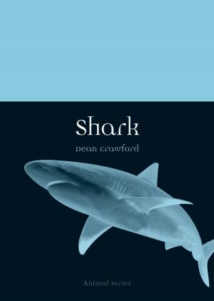 Cover of the book Shark by Michel Onfray