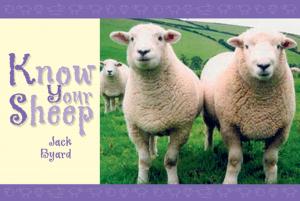 Cover of the book Know Your Sheep by Claude Boucher, France Desjardins, Pierre Giovenazzo, Jocelyn Marceau, André Pettigrew, Hugo Tremblay, Nicolas Tremblay, Émile Houle