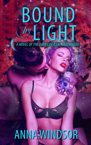 Cover of the book Bound by Light by Tracy Grant