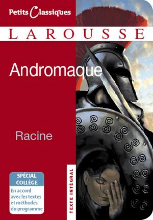 Cover of the book Andromaque (Collège) by Louise Browaeys, Hélène Schernberg