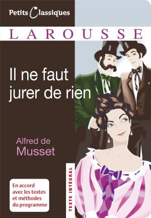 Book cover of Il ne faut jurer de rien