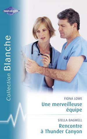 Cover of the book Une merveilleuse équipe - Rencontre à Thunder Canyon (Harlequin Blanche) by Pamela Tracy