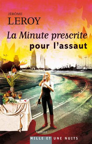 Cover of the book La Minute prescrite pour l'assaut by Irène Inchauspé, Sylvie Hattemer