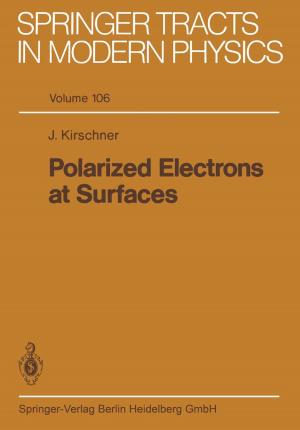 Cover of the book Polarized Electrons at Surfaces by Hans-Georg Weigand, Andreas Filler, Reinhard Hölzl, Sebastian Kuntze, Matthias Ludwig, Jürgen Roth, Barbara Schmidt-Thieme, Gerald Wittmann