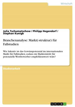 Cover of the book Branchenanalyse: Markt(-struktur) für Fallstudien by Sylvia Nösterer