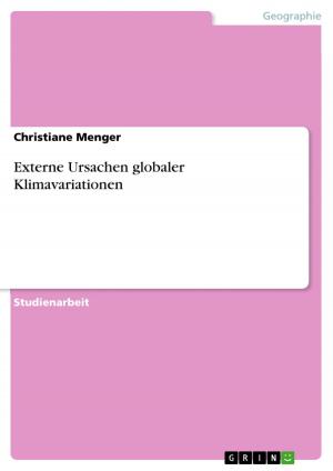 Cover of the book Externe Ursachen globaler Klimavariationen by Andreas Reineck