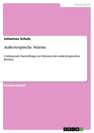 Cover of the book Außertropische Stürme by Jan Patrick Faatz