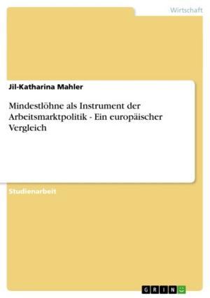 Cover of the book Mindestlöhne als Instrument der Arbeitsmarktpolitik - Ein europäischer Vergleich by Juliane Rietzsch