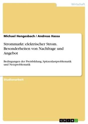 Cover of the book Strommarkt: elektrischer Strom. Besonderheiten von Nachfrage und Angebot by Malte von der Heide