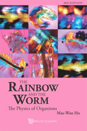 Cover of the book The Rainbow and the Worm by Matania Ben-Artzi, Jean-Pierre Croisille, Dalia Fishelov