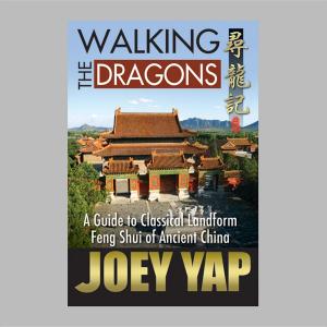 bigCover of the book Walking The Dragons by 