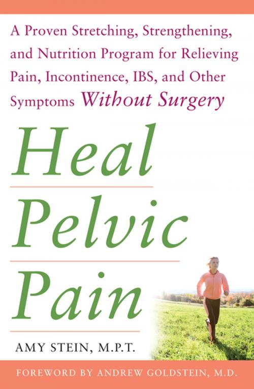 Cover of the book Heal Pelvic Pain: The Proven Stretching, Strengthening, and Nutrition Program for Relieving Pain, Incontinence,& I.B.S, and Other Symptoms Without Surgery by Amy Stein, McGraw-Hill Education