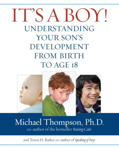 Cover of the book It's a Boy! by Michael Thompson, PhD, Teresa Barker, Random House Publishing Group
