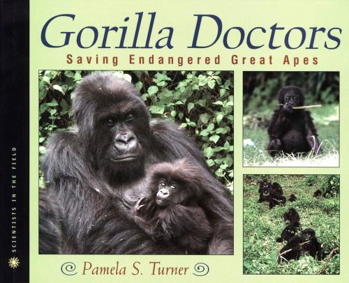 Cover of the book Gorilla Doctors: Saving Endangered Great Apes by Pamela S. Turner, HMH Books