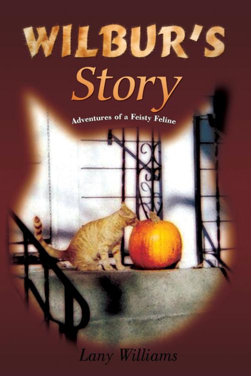 Cover of the book Wilbur's Story by Lany Williams, iUniverse