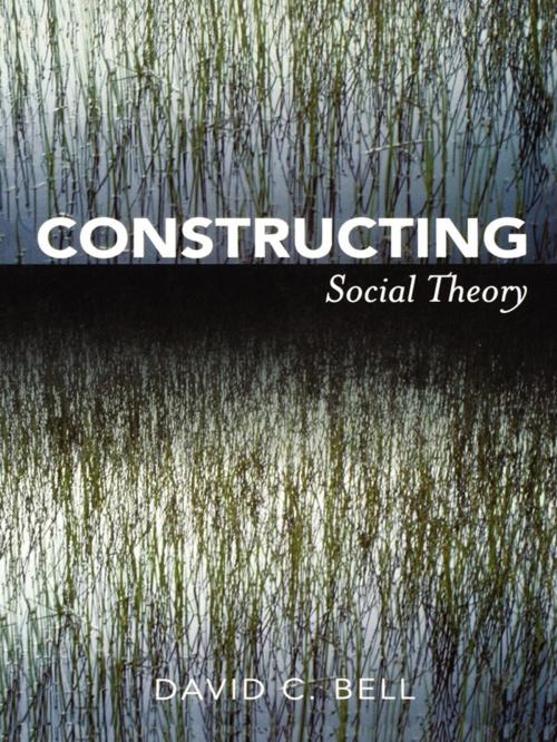 Cover of the book Constructing Social Theory by David C Bell, Rowman & Littlefield Publishers