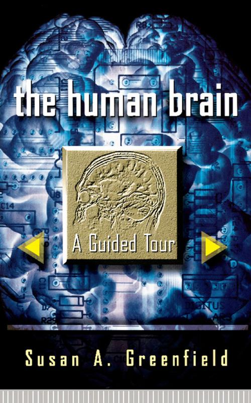 Cover of the book The Human Brain by Susan A. Greenfield, Basic Books